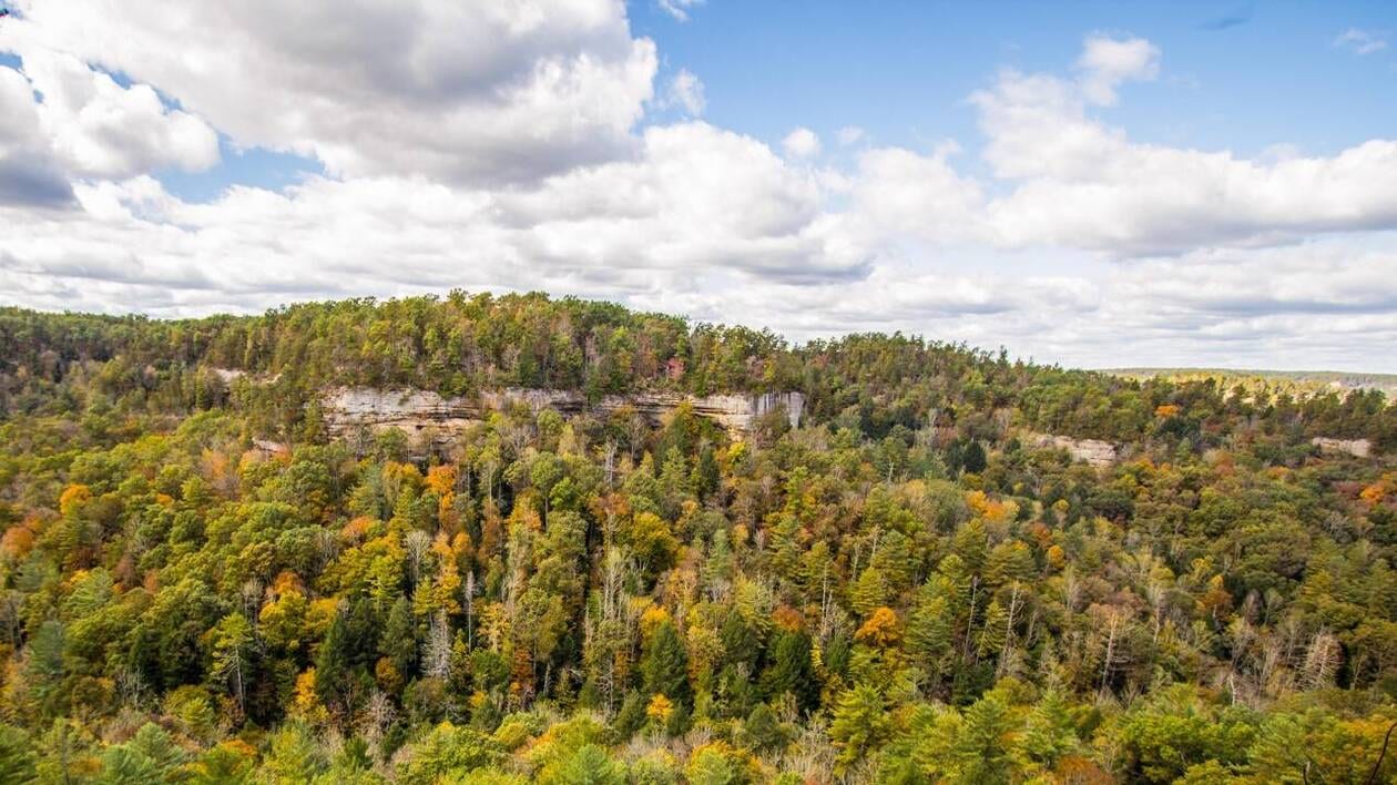 Environnement. L'administration Trump ouvre à l'exploitation des forêts  protégées