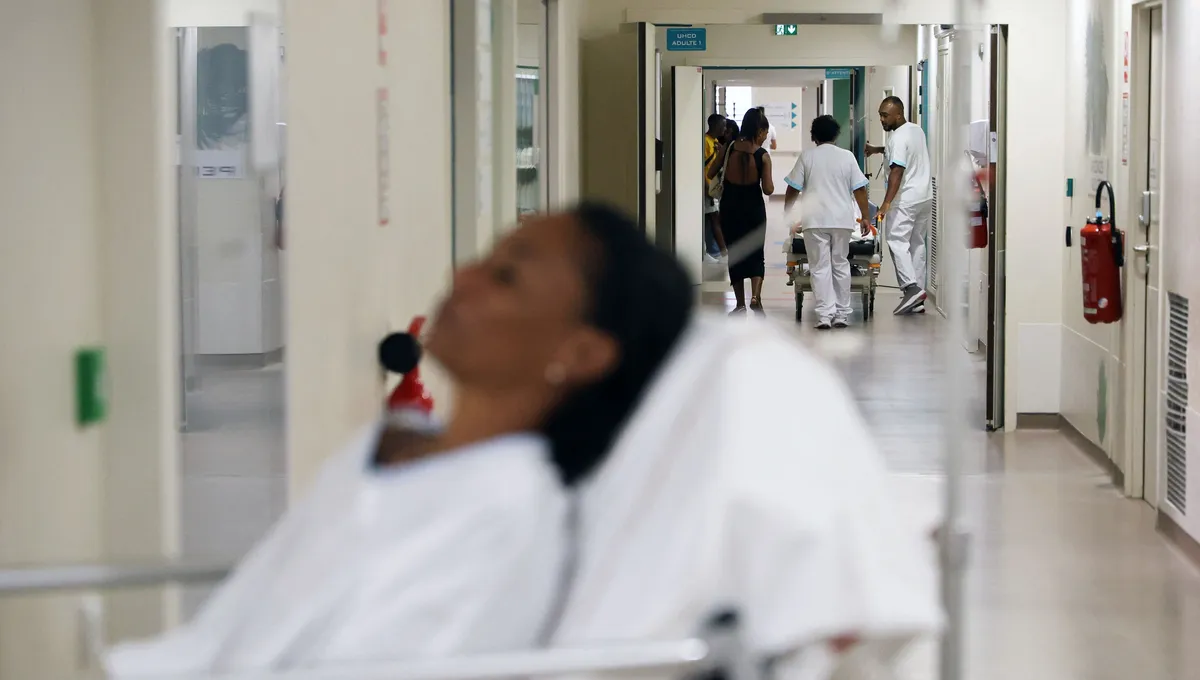 Chikungunya : "On a tout ce qu'il faut pour que l'épidémie survienne" dans  les Antilles et en Guyane, alerte un médecin | France Inter
