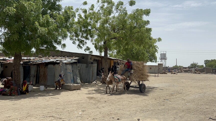 Afrique du Sud : plus de 1 000 Nigérians demandent à être rapatriés sur  fond de tensions anti-immigrés