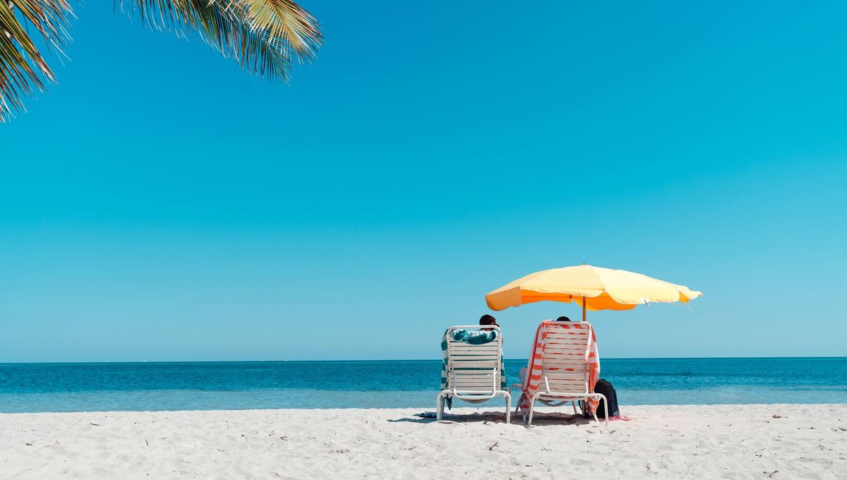 Vous partez bientôt en vacances ? Attention à l'arnaque à la confirmation  de réservation. - ICI