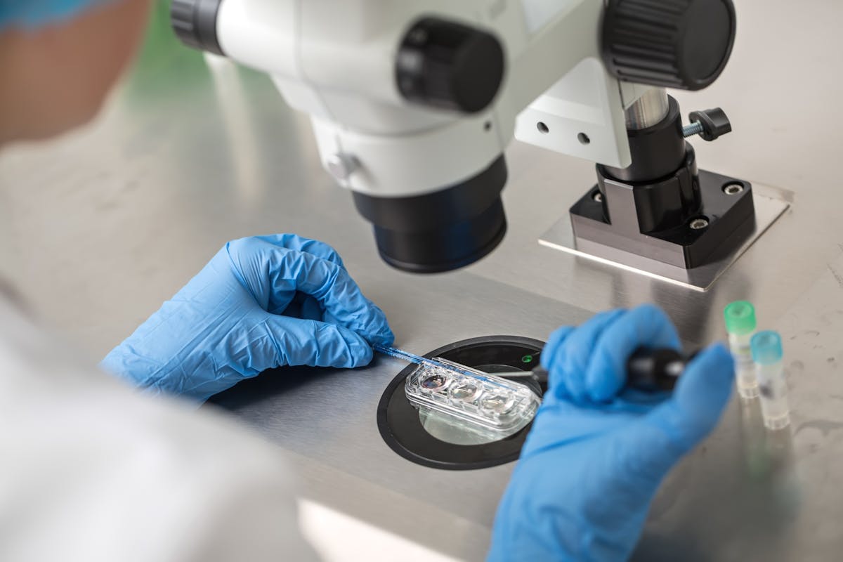 FIV : une étude alerte sur les dérives possibles des tests génétiques des  embryons | Parents.fr