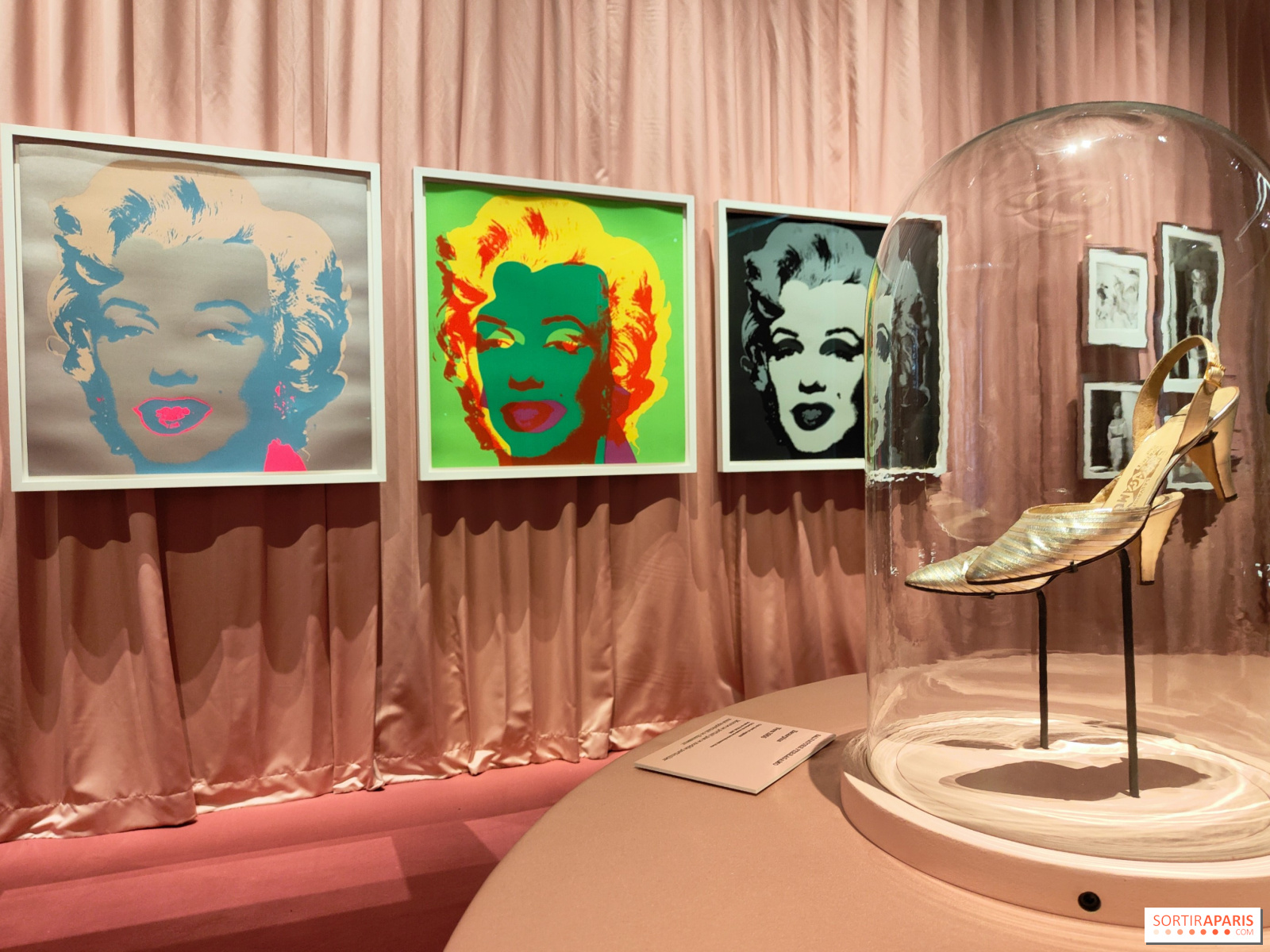 Marilyn Monroe, 100 ans ! L'icône d'Hollywood à l'honneur dans une  exposition à la Cinémathèque - Sortiraparis.com
