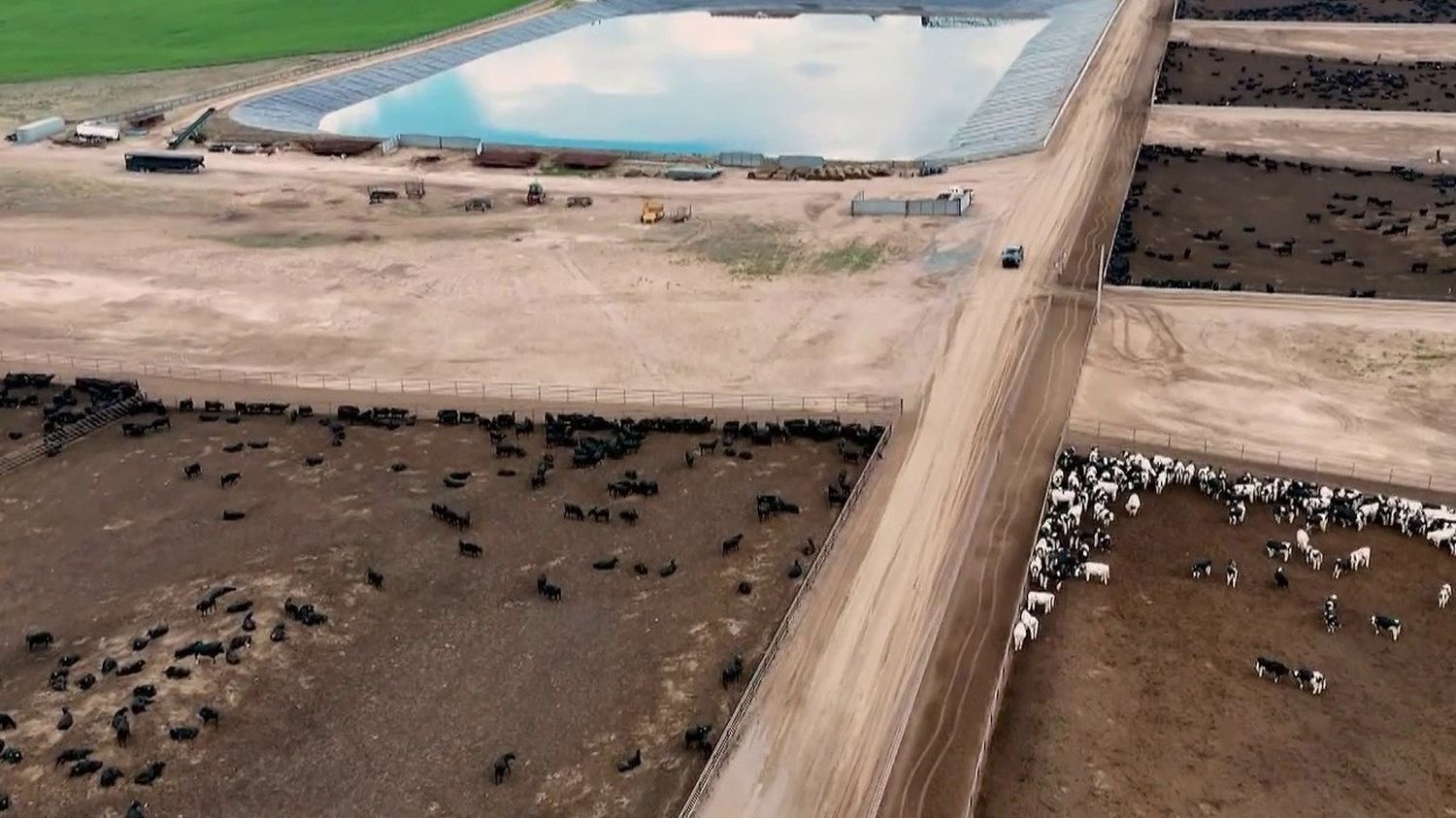 Fermes industrielles : rencontre avec les nouveaux cow-boys dans ces  structures géantes controversées – franceinfo