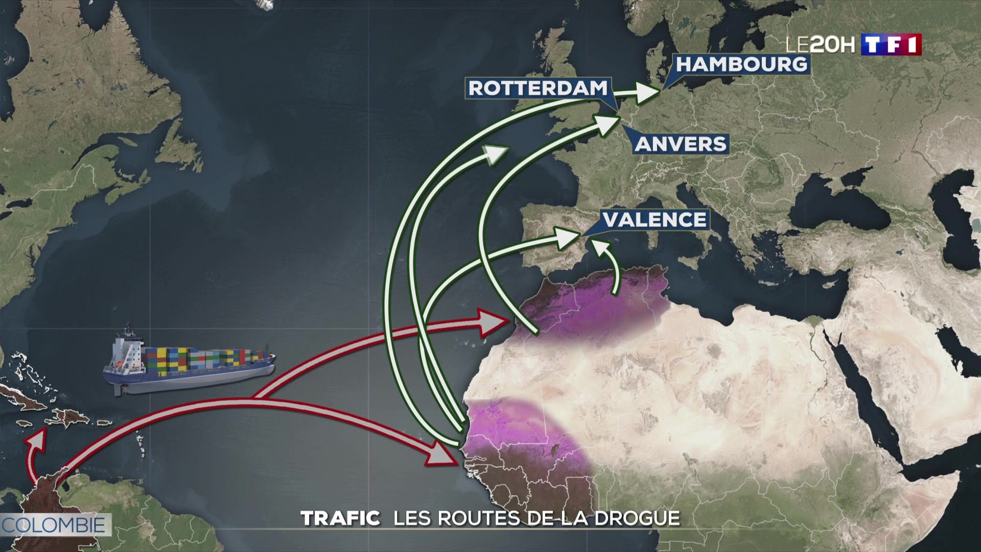 Trafic : comment les drogues arrivent-elles en Europe ? | TF1 Info