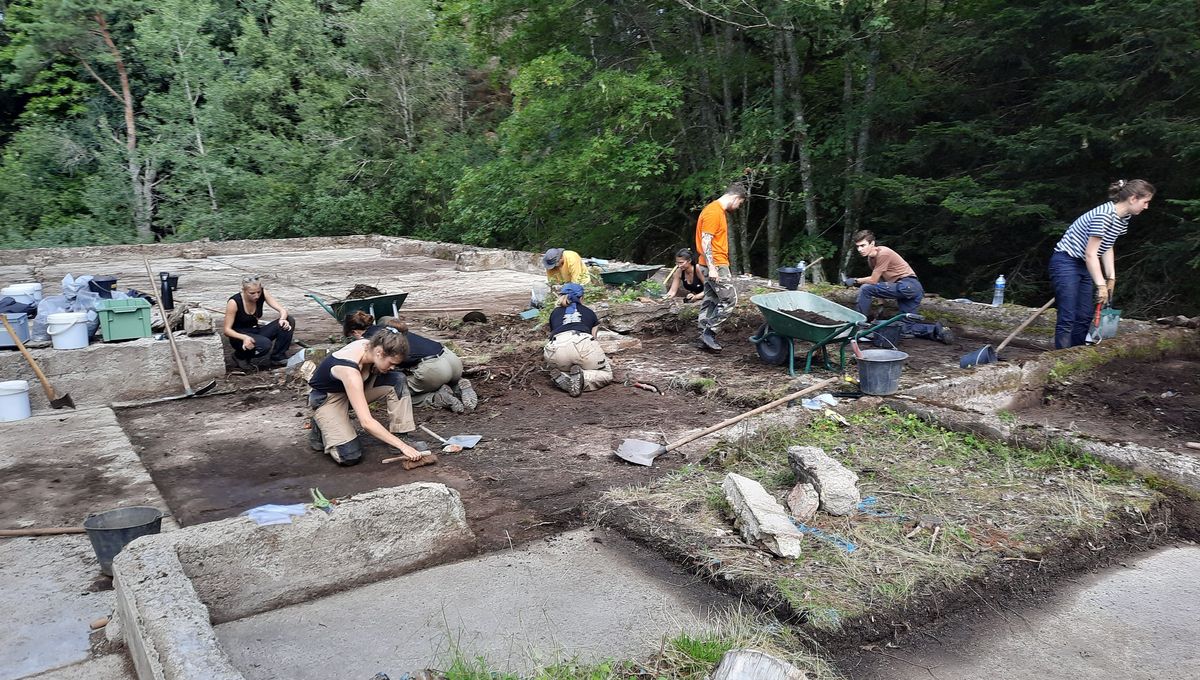 Camp du Struthof : des archéologues mettent au jour l'ancienne carrière où  travaillaient les déportés - ICI
