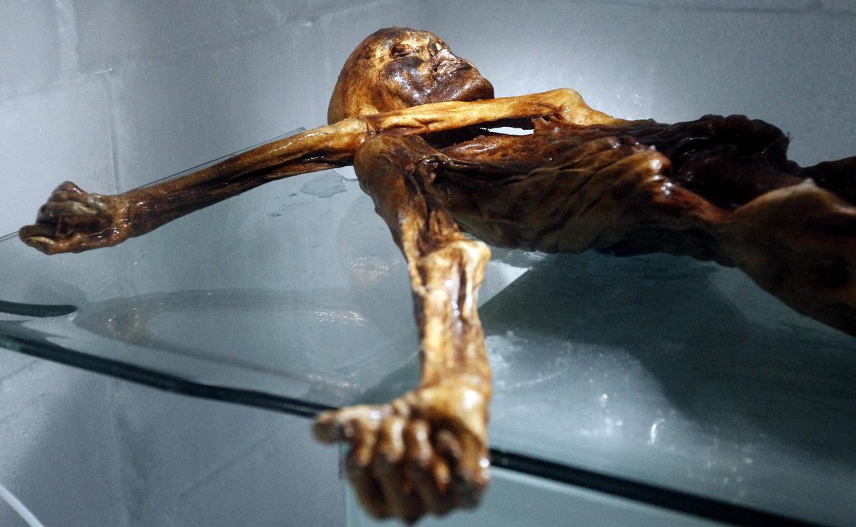 Des scientifiques ont retrouvé de la levure dans une momie vieille de 5.300  ans… et ont réussi à faire du pain - Charente Libre.fr