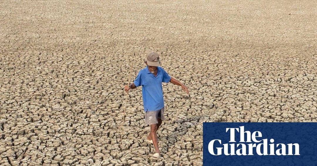 Préparez-vous au retour imminent d'El Niño, prévient l'ONU | oscillation  australe d'El Niño : r/environment