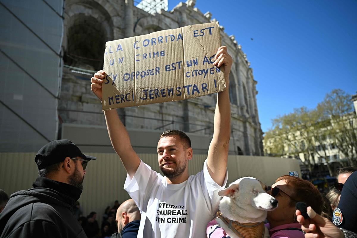 Vidéo. Nîmes : l'influenceur Jeremstar jugé pour son intrusion dans les  arènes lors d'une corrida