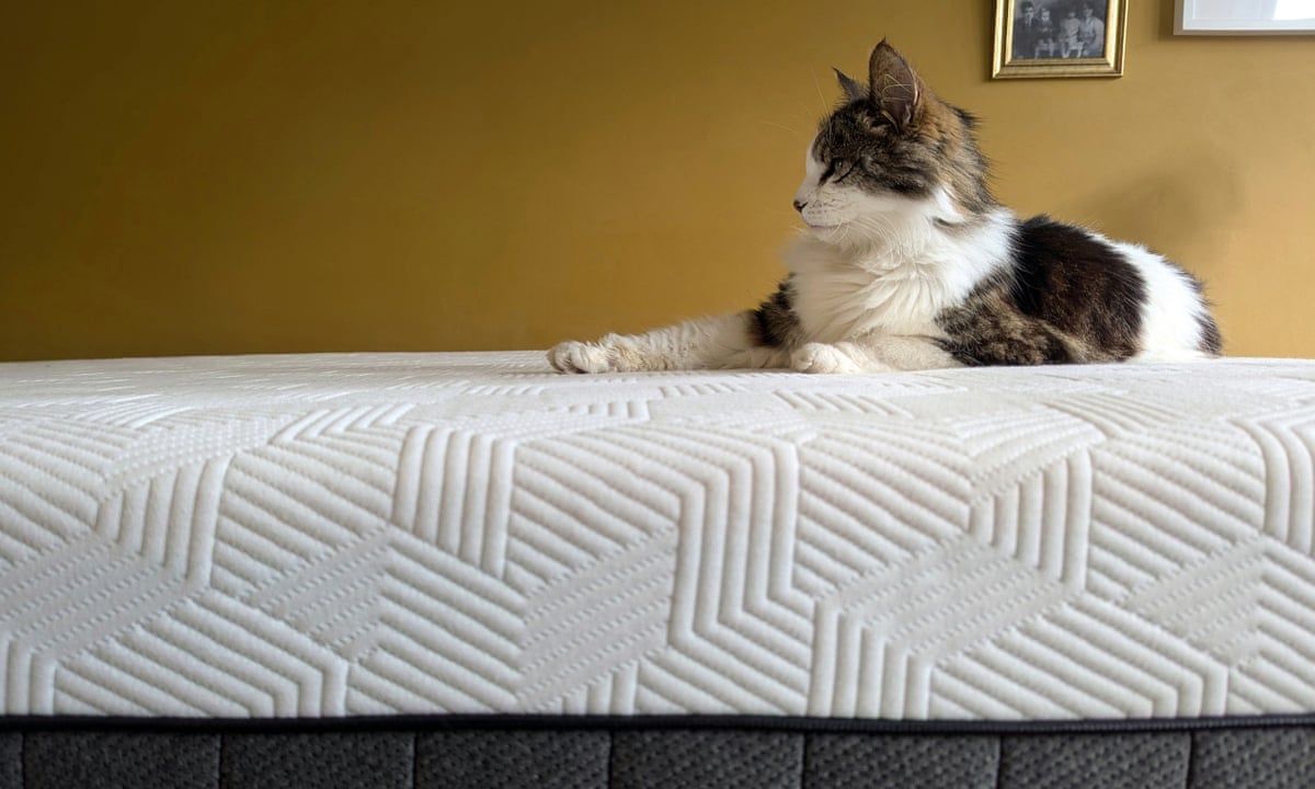 The best mattresses in 2026: sleep better with our 14 rigorously tested  picks | Sleep | The Guardian