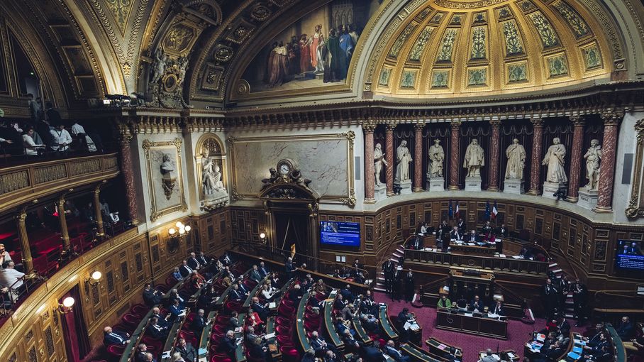 Le Sénat vote pour garantir la gratuité du don d'organes avec un statut  protecteur du "donneur vivant" – franceinfo