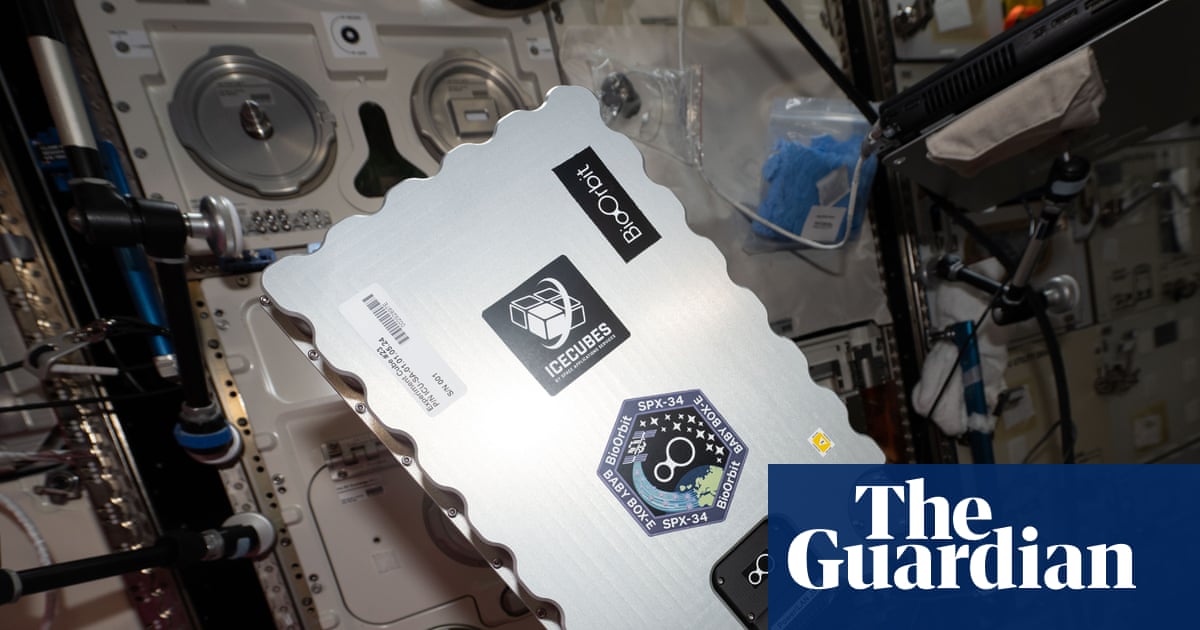 Final frontier for meds? UK startup sends drug-making into space |  Pharmaceuticals industry | The Guardian