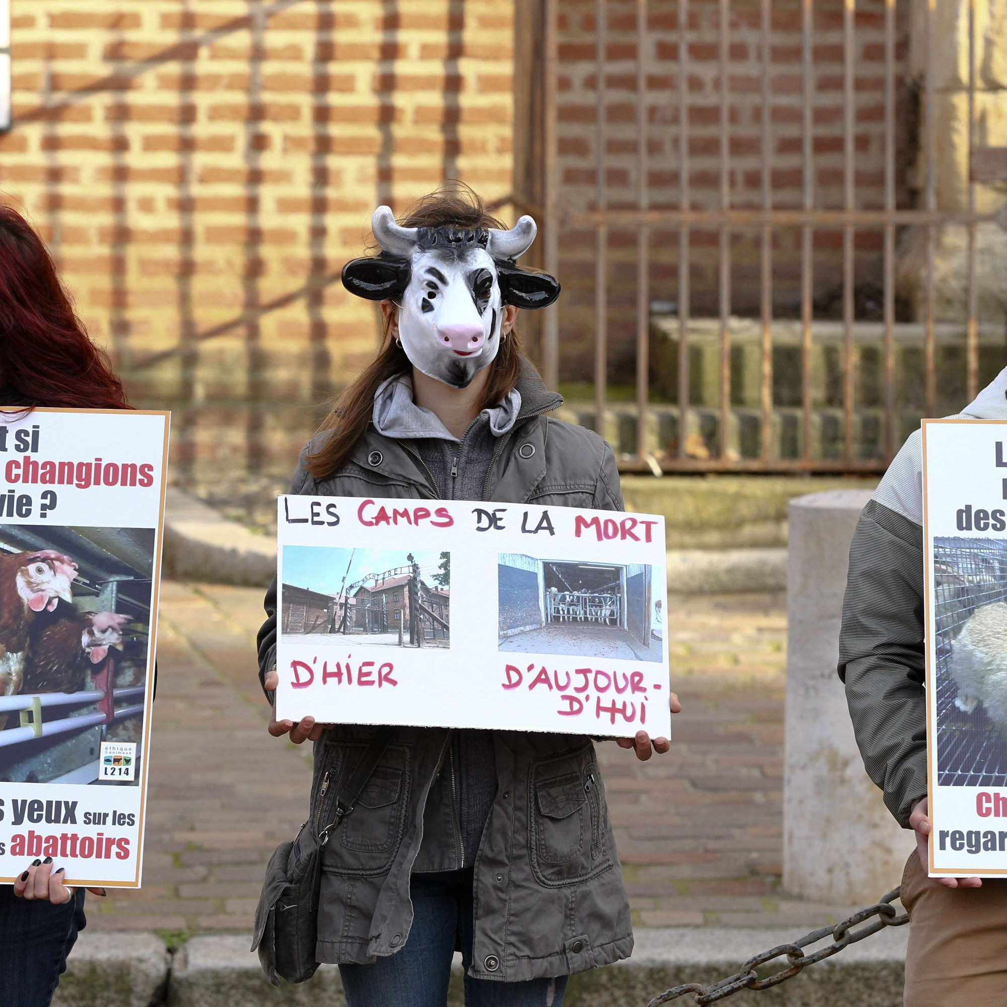 Lutte contre la maltraitance animale : qui est l'association L214 ?