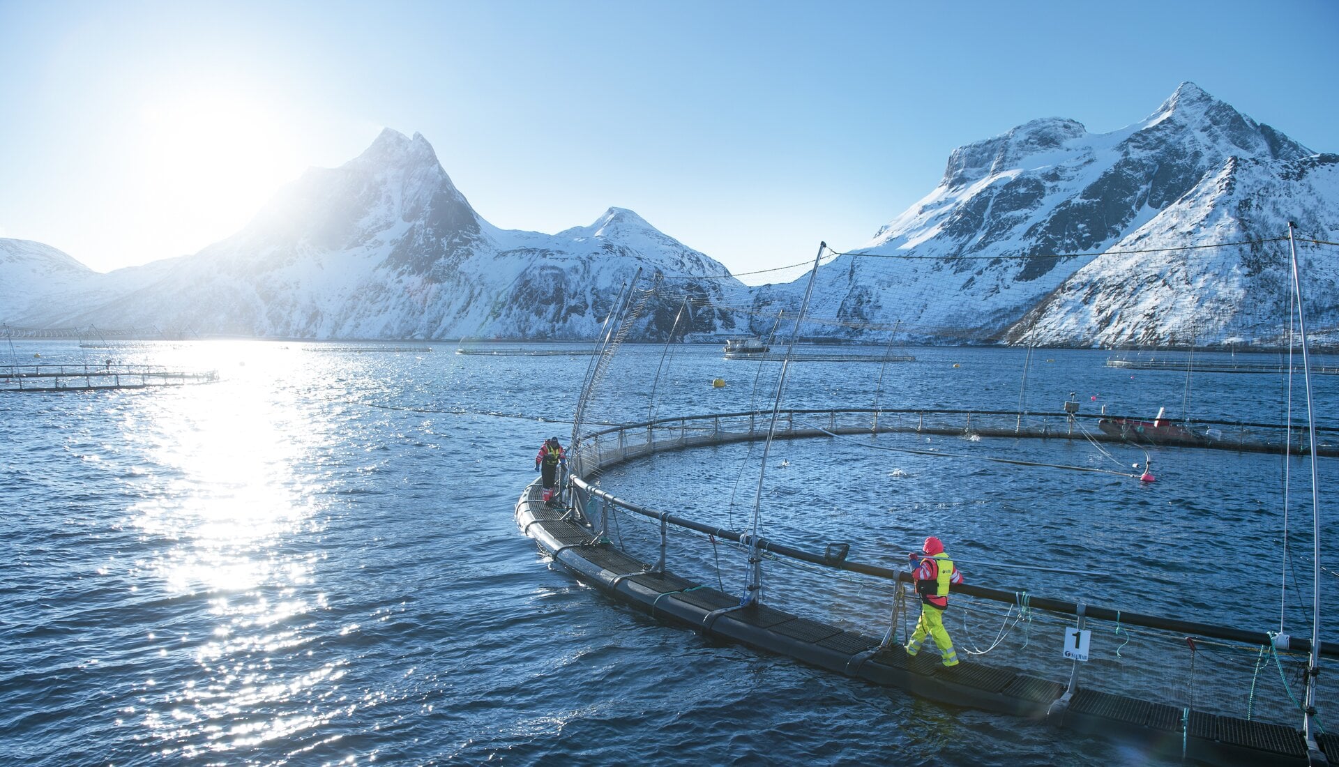 Innover dans un nouveau secteur, l'aquaculture | Histoires de Norvège |  Seafood from Norway
