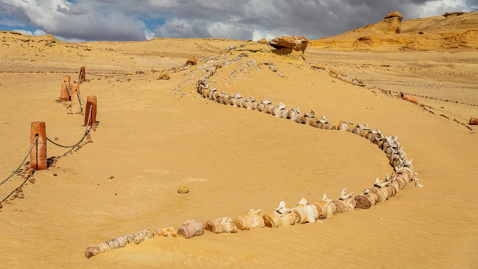 Égypte : à la découverte de l'extraordinaire vallée des Baleines | National  Geographic | National Geographic