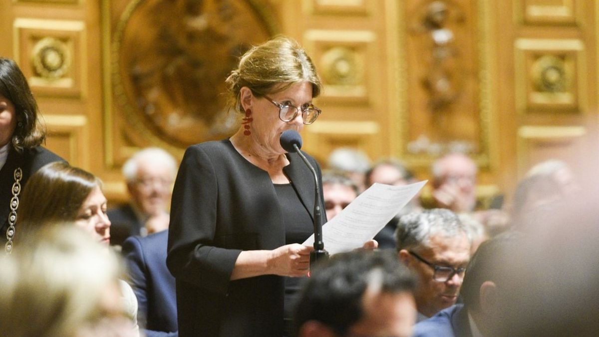 Crise chez Grasset : une sénatrice souhaite une "loi d'urgence" pour  instaurer une "clause de conscience" pour les auteurs – franceinfo