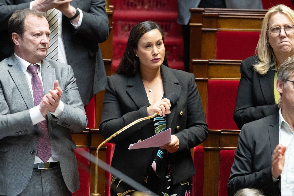 Nationalisation d'ArcelorMittal, sécurité des mineurs dans l'entreprise,  réforme de l'ASPA... Communistes et ultramarins proposent des lois qui «  protègent » dans leur niche parlementaire - L'Humanité