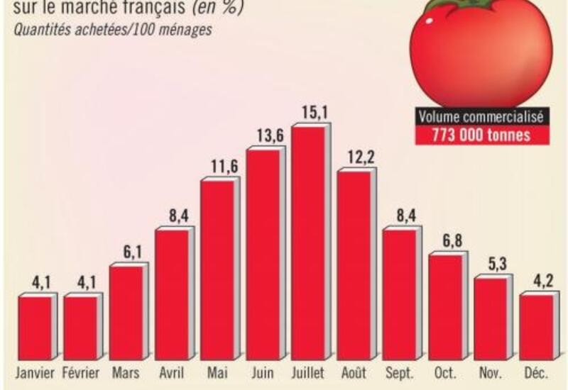 La tomate, produit phare du mois | Réussir fruits & légumes