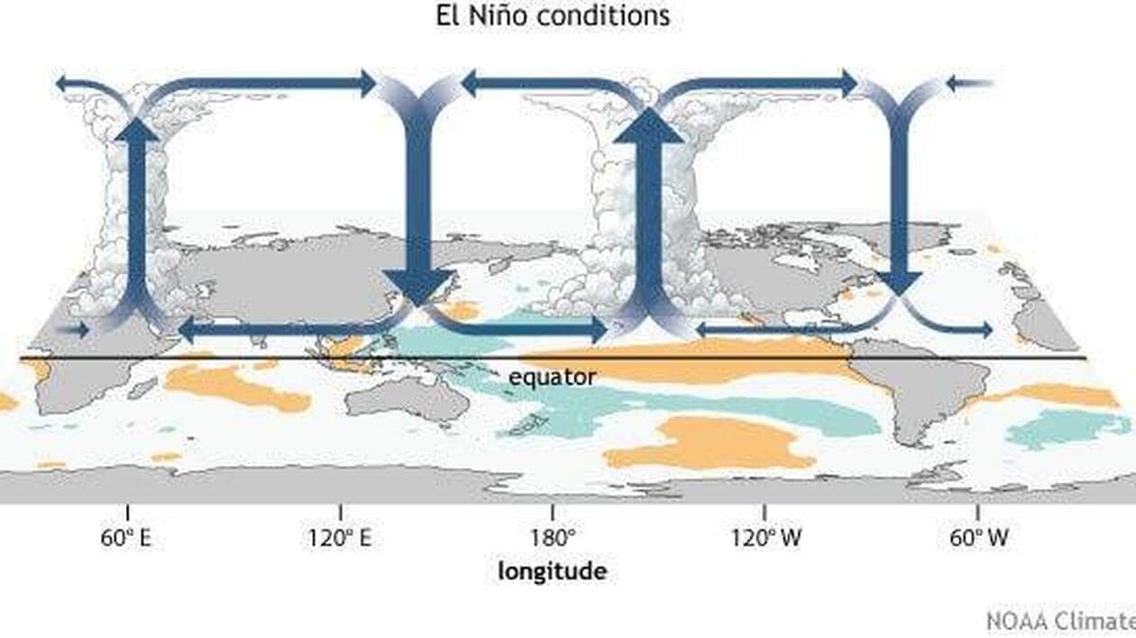 Météo. L'Organisation météorologique mondiale annonce l'arrivée imminente  d'un phénomène El Niño potentiellement fort