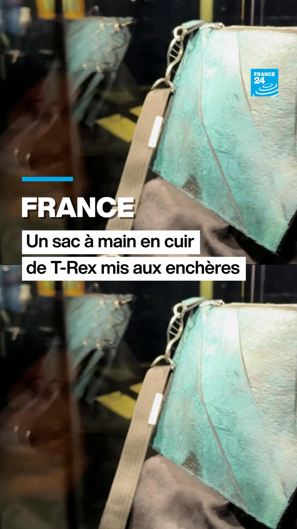 Un sac à main en cuir de tyrannosaure mis aux enchères à Paris - France 24