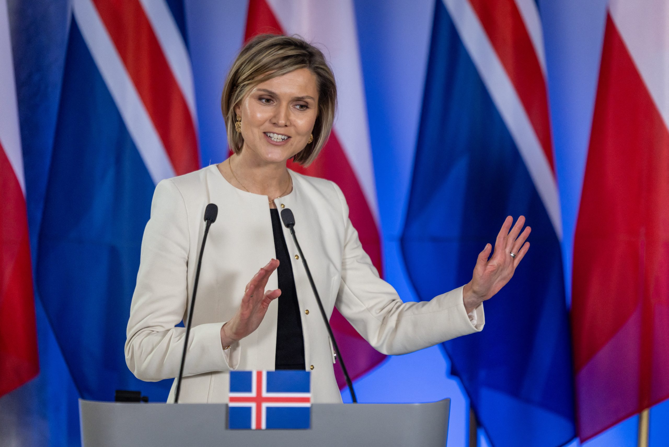 L'Islande organisera un référendum sur la reprise des négociations  d'adhésion à l'UE, annonce la Première ministre