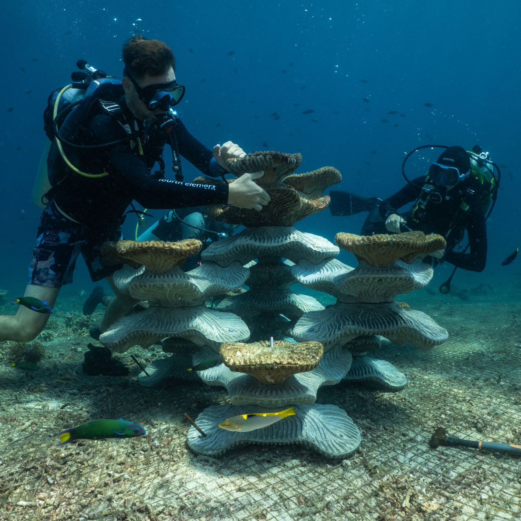 Can Concrete Molds Revive Coral Reefs Ruined by Bombs and Climate Change? -  The New York Times