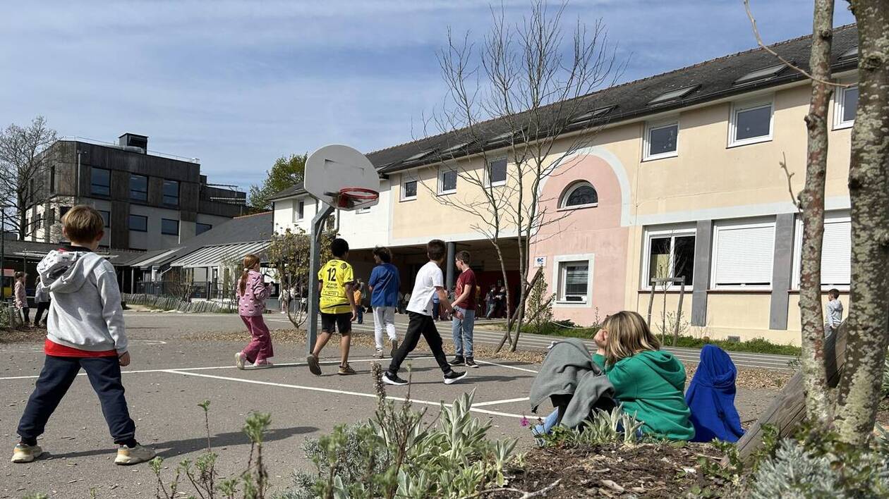 Deux places VIP pour le concert de Céline Dion : l'incroyable premier lot  de tombola de cette école primaire