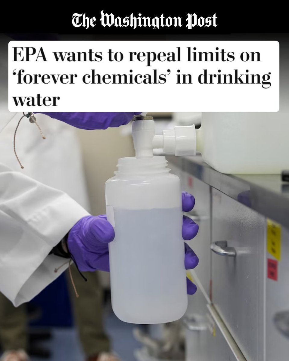 PFAS can cause cancer, birth defects, and damage to our immune systems. We  know how dangerous they are, and yet Trump wants to repeal limits on these forever  chemicals in our drinking