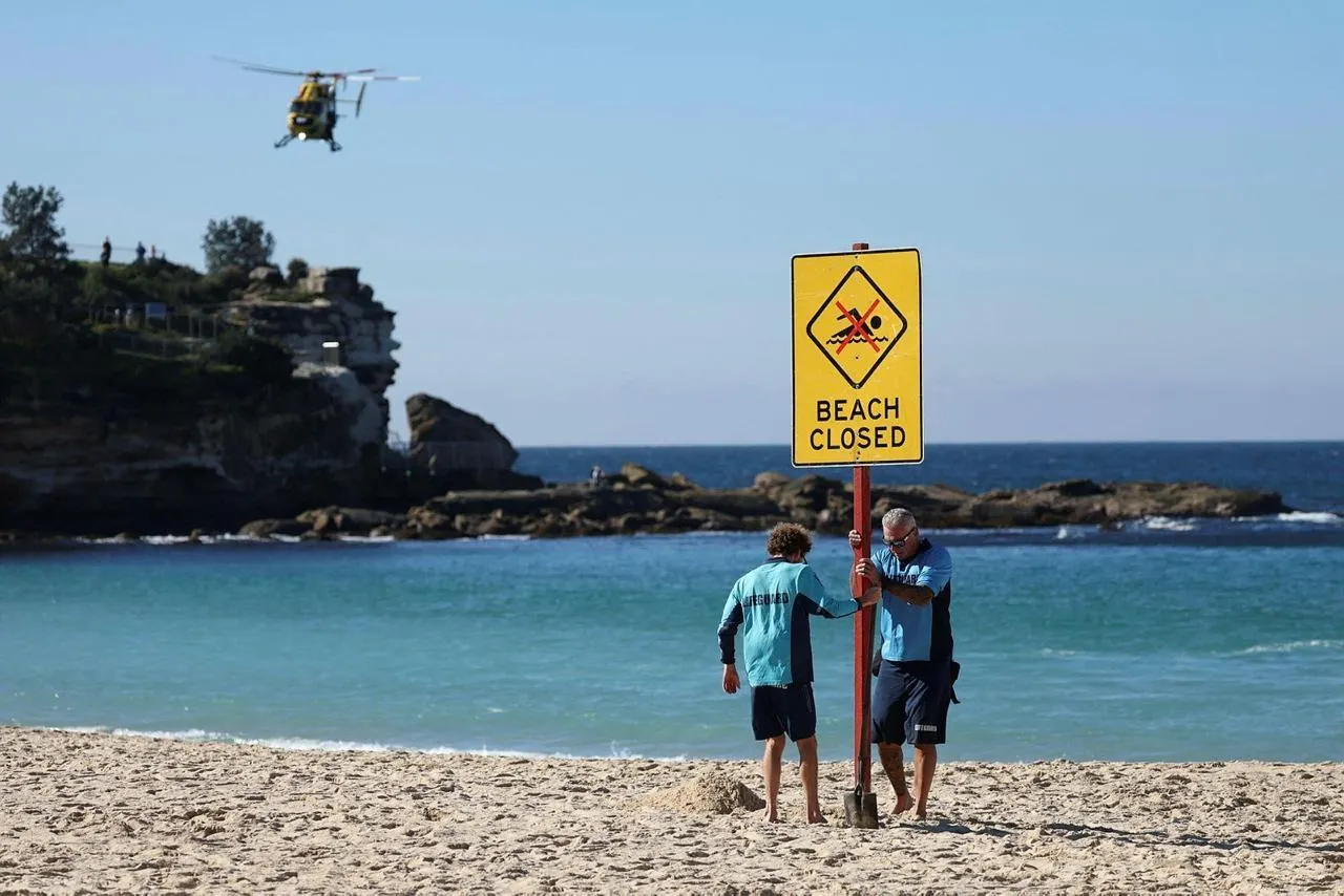 Australie : une nageuse dans un état critique après avoir été mordue par un  requin - Caen.maville.com