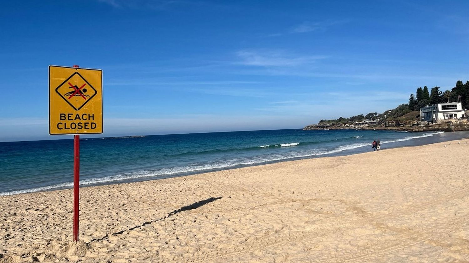En Australie, une nageuse se trouve dans un état critique après avoir été  mordue par un requin – franceinfo
