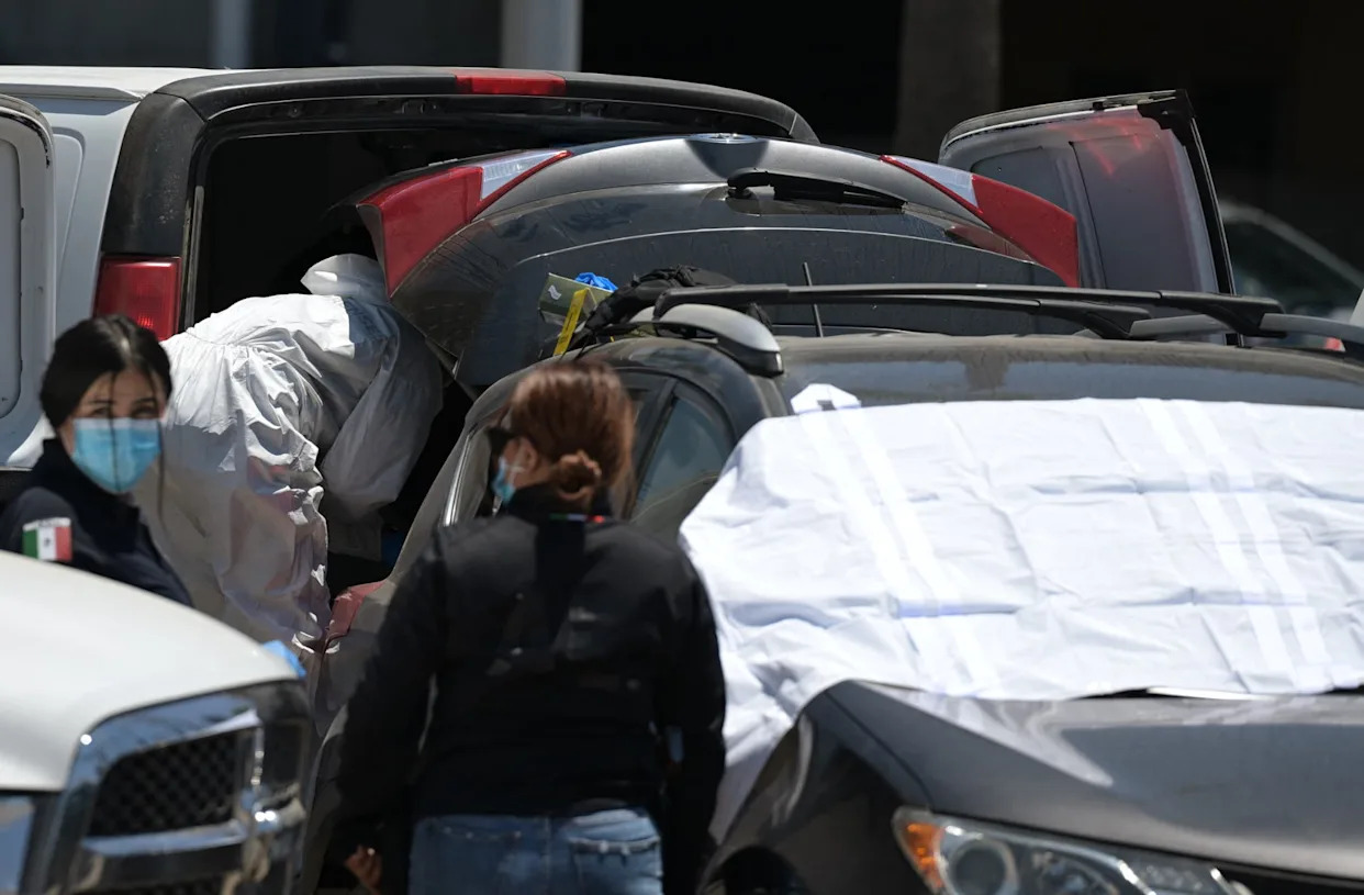 Coupe du monde 2026: un cadavre retrouvé dans le coffre d'une voiture juste  à côté du stade où s'entraîne l'équipe d'Iran - Yahoo Actualités France
