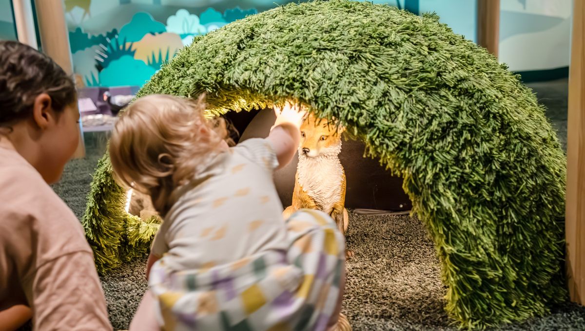 La Cité des Enfants rouvre ses portes avec un nouvel espace pour les 2-6 ans  - ICI