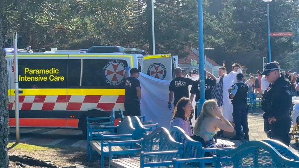 Australie : une nageuse grièvement blessée par un requin à Sydney - 20  minutes