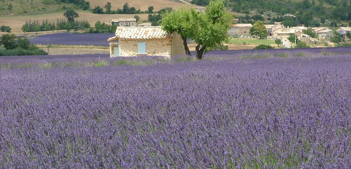Les Alpes de Haute-Provence sur le podium des départements préférés des  Français