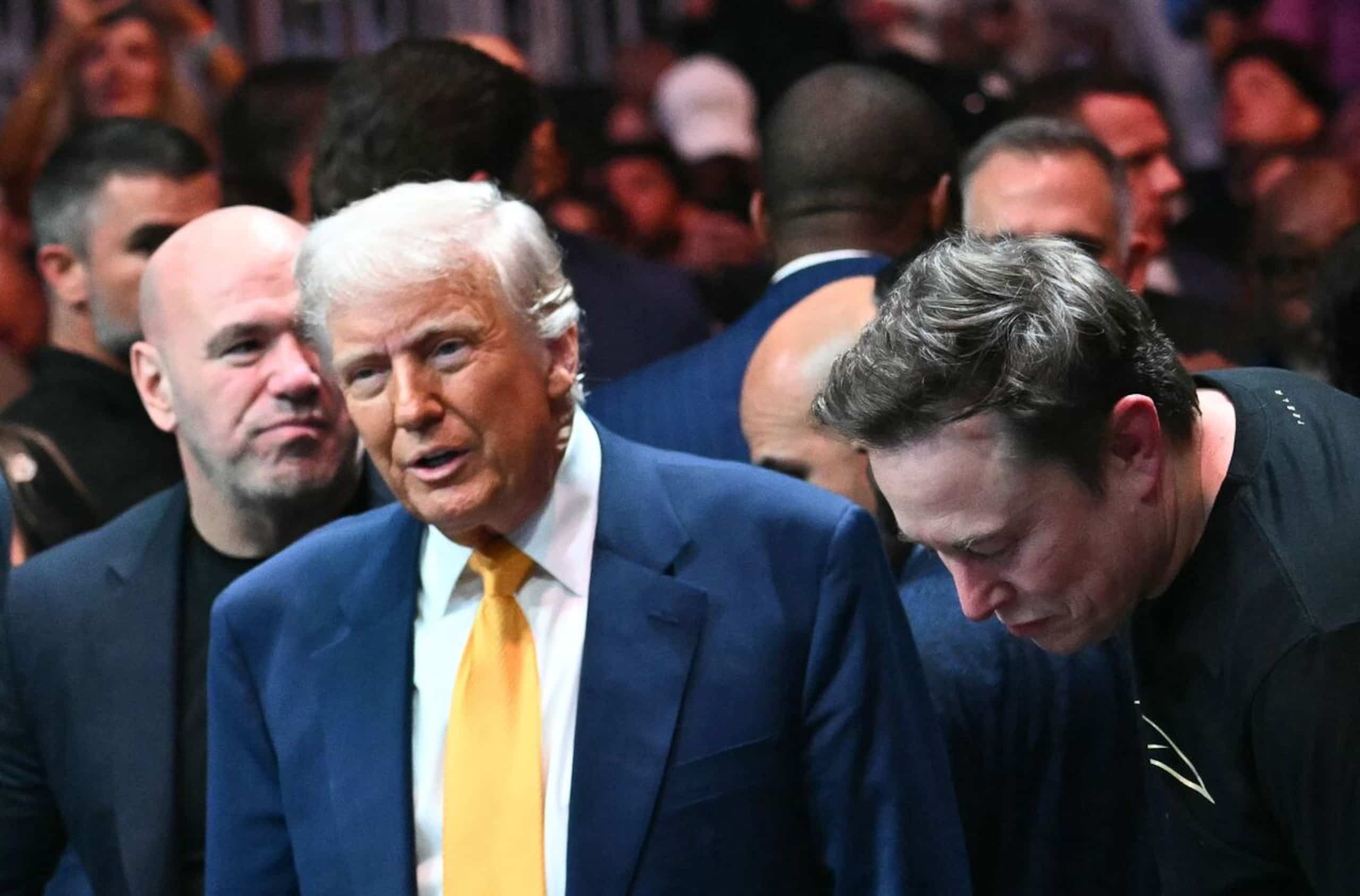 Pour ses 80 ans, Trump invite le MMA à la Maison Blanche | TVA Nouvelles |  QUB info