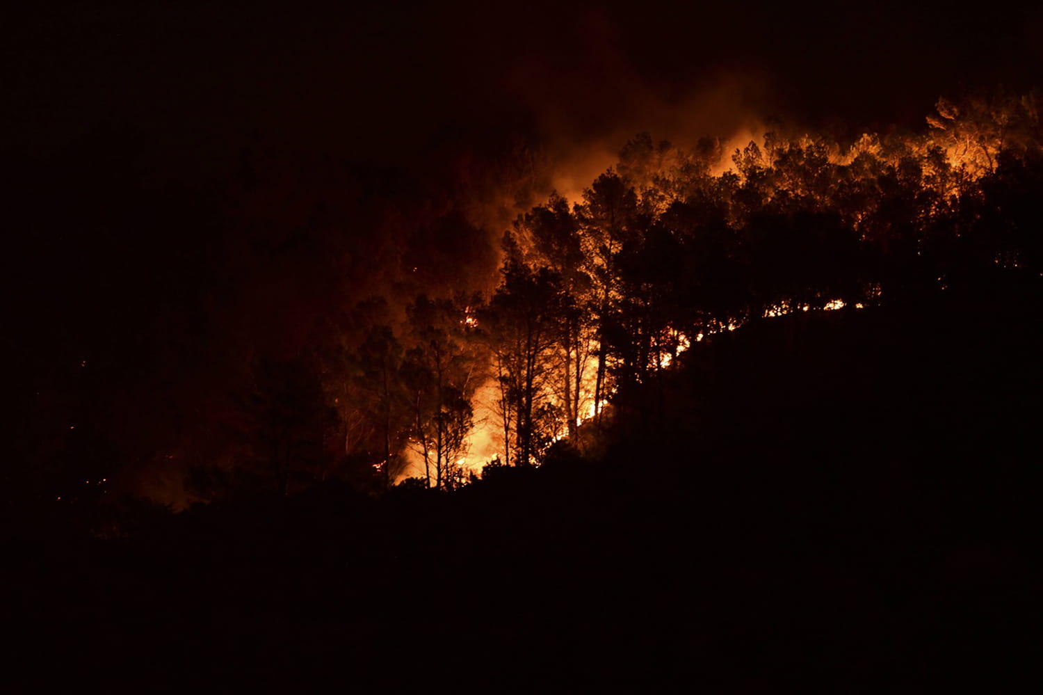 Feux de forêts : six départements en rouge pour risque "très élevé"  d'incendie, danger "extrême" dans