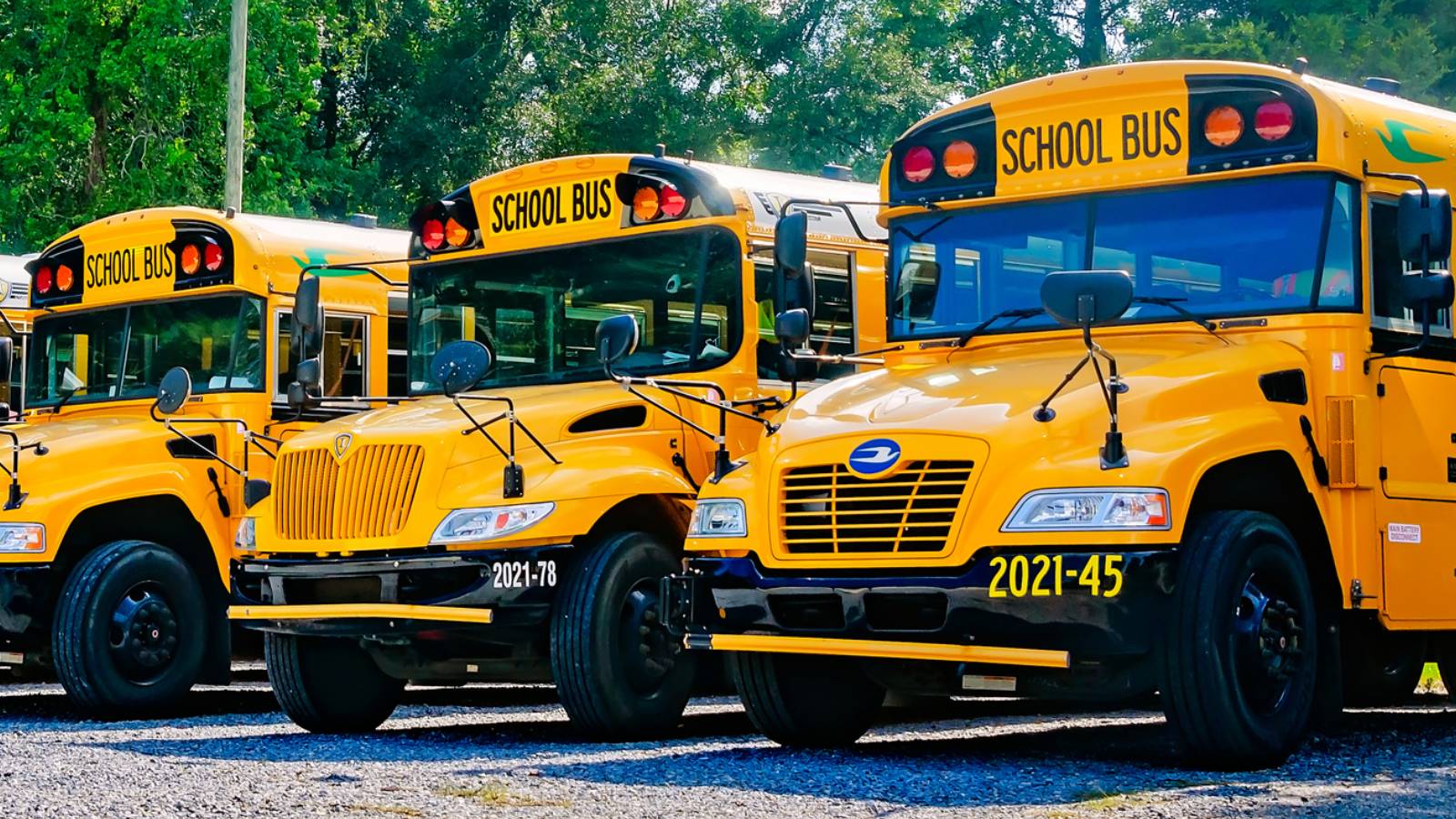 Scottish Fans Using School Buses To Thwart World Cup Prices
