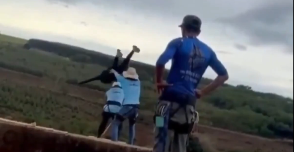 Brésil : une jeune femme meurt lors d'un saut à l'élastique, les  instructeurs ont oublié d'attacher la malheureuse victime - Le Parisien