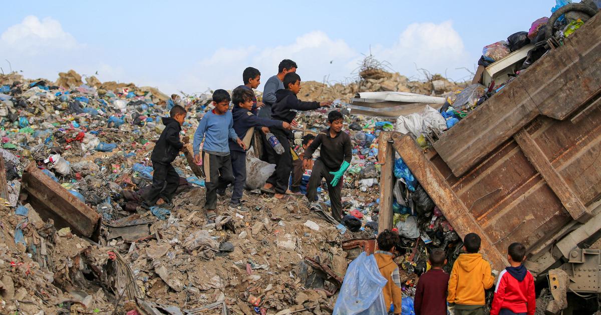 J'ai trouvé mon fils en larmes et couvert de sang» : à Gaza, les rats  envahissent les camps, mordent les enfants et propagent des maladies
