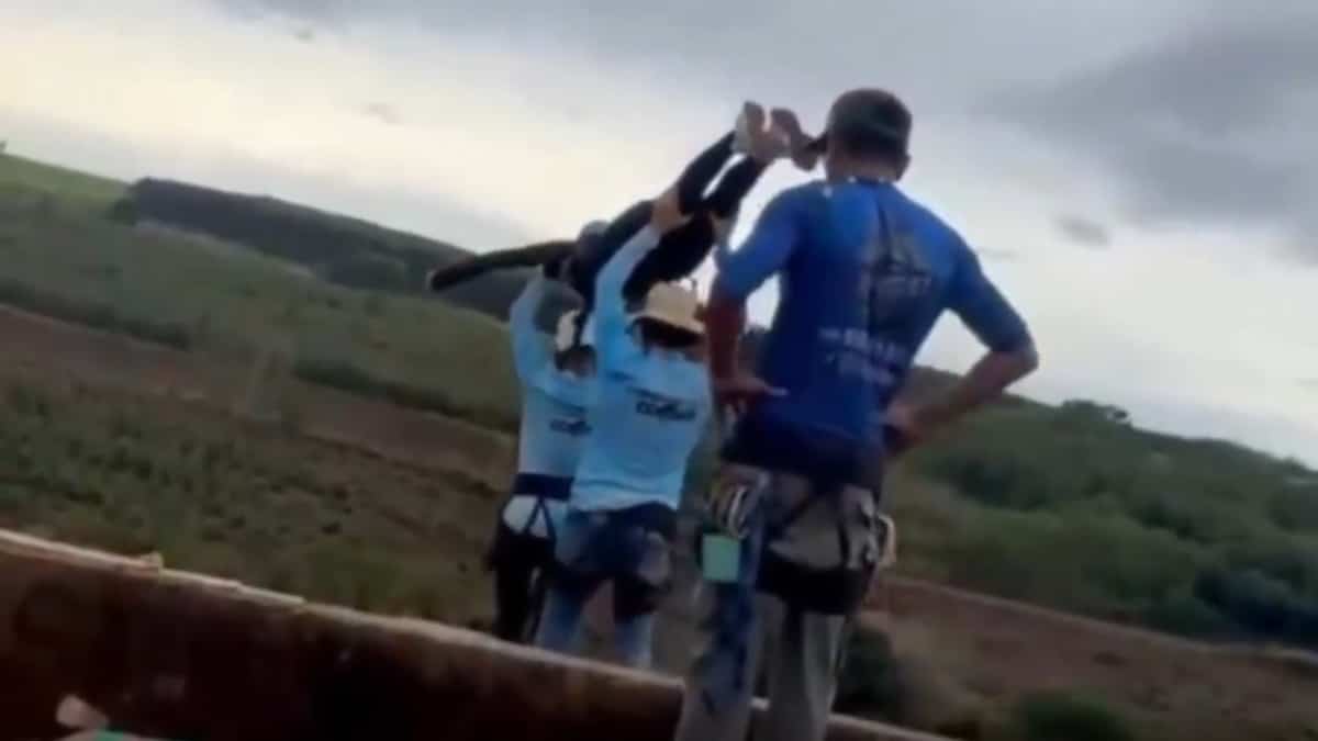 La jeune femme décédée lors d'un saut à l'élastique au Brésil aurait  survécu quelques instants après la chute, selon une infirmière | TVA  Nouvelles