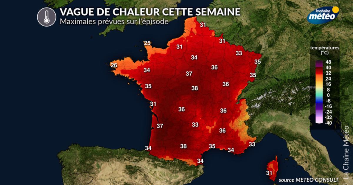 Vague de chaleur et canicule cette semaine en France : où pourrait-on  atteindre les 40°C ? - Actualités La Chaîne Météo