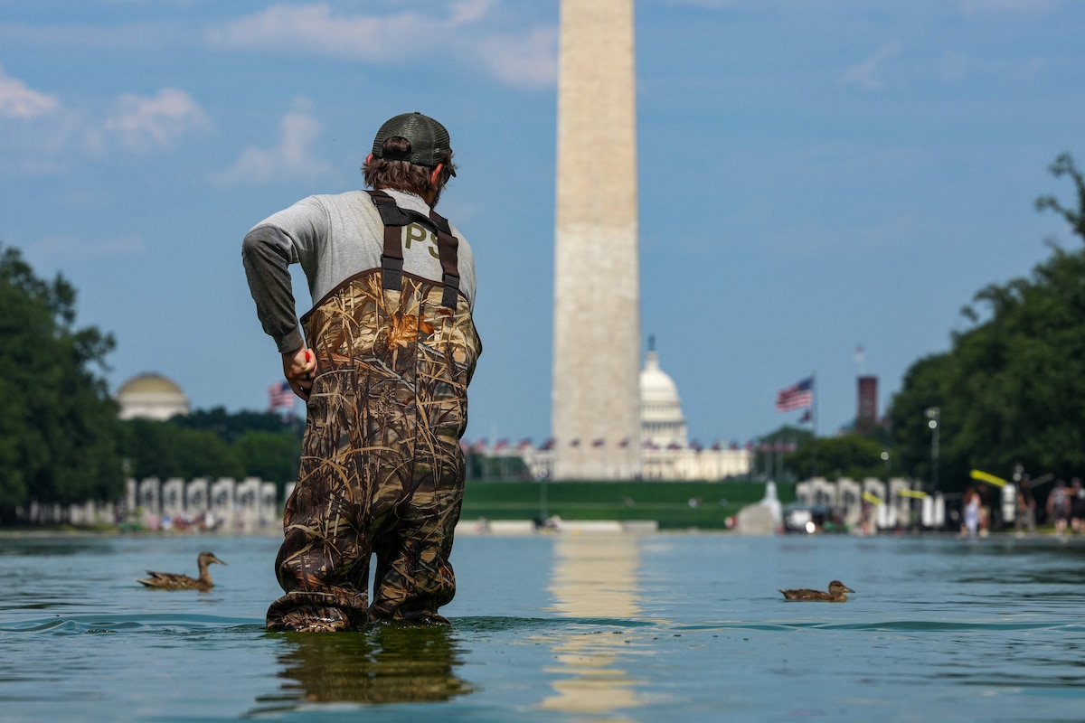 La polémique enfle au Lincoln Memorial : le miroir d'eau vire au vert une  semaine après sa rénovation par Donald Trump (PHOTOS) - La Libre