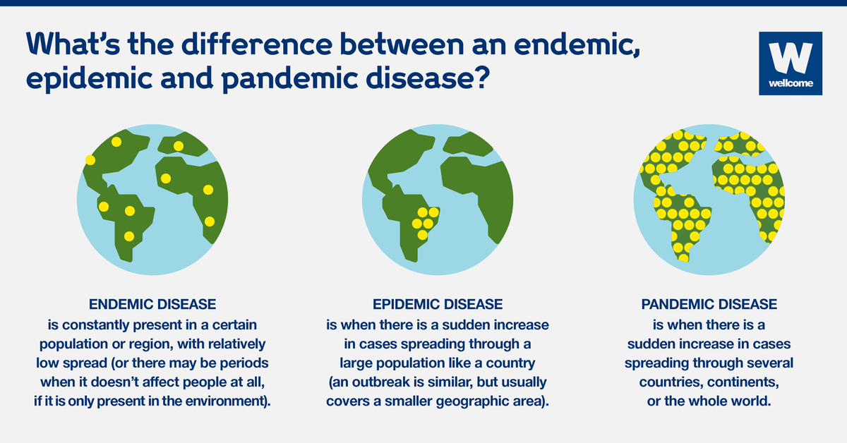 You might have heard the words endemic, epidemic and pandemic 🤔 So what do  they all mean? ⤵️