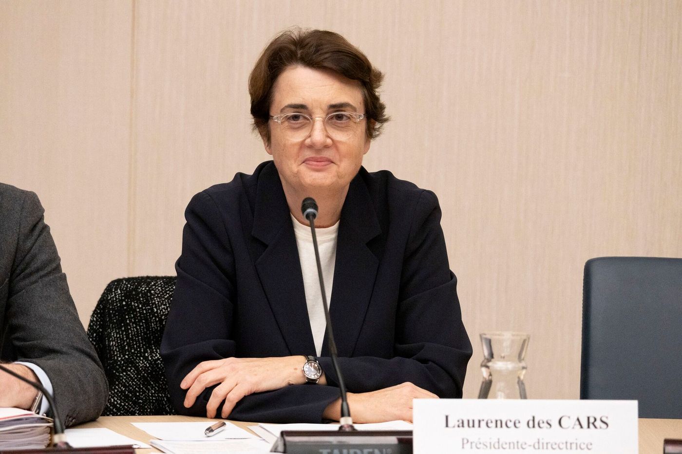 Sous le feu des critiques, la directrice du Musée du Louvre tient bon  devant les sénateurs