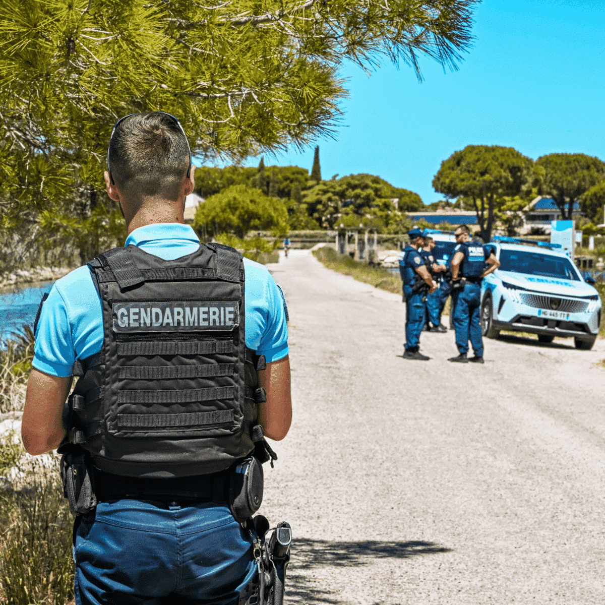 Un adolescent de 15 ans avoue le meurtre d'une octogénaire près d'un  camping du Gard – franceinfo