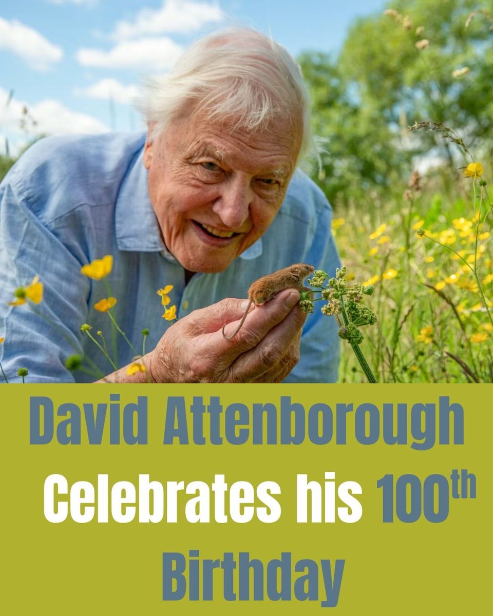 Celebrated British broadcaster and natural historian David Attenborough  turns 100 , marking an extraordinary milestone in a career that has shaped  global understanding of nature and wildlife for over eight decades.  Beginning