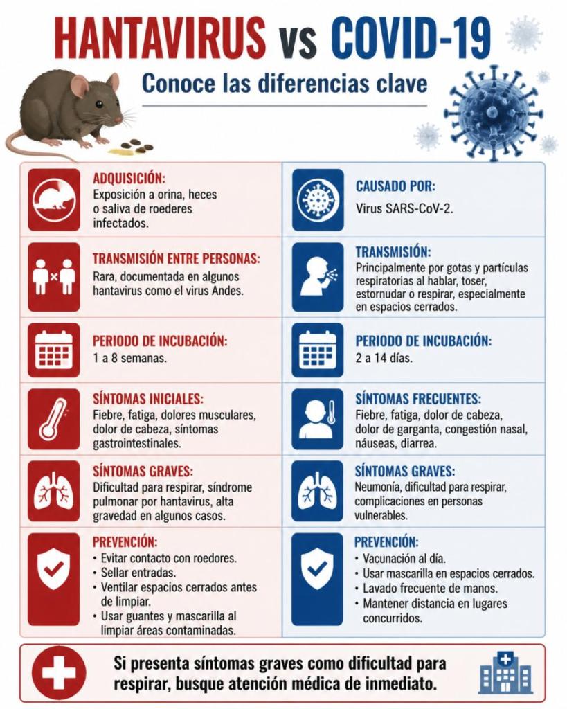 Differences between hantavirus and Covid: symptoms, transmission