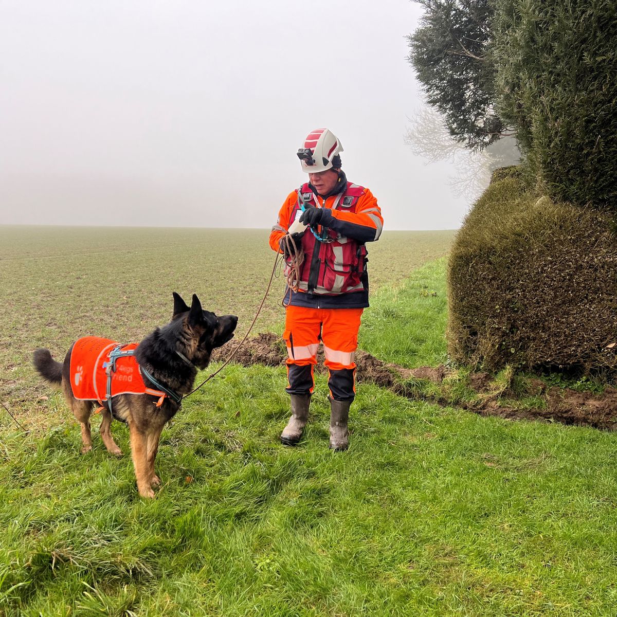 Unique en France : une brigade de chiens renifleurs pour détecter... les  fuites d'eau