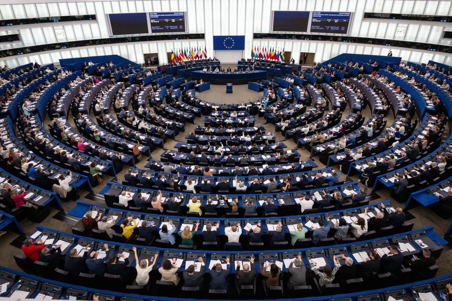 Renvoyez-les ! », scandent des élus d'extrême droite au Parlement européen