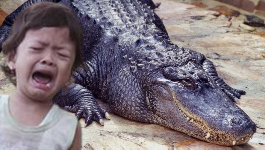 La maman sauve son petit garçon de la gueule d'un crocodile ! -  lindependant.fr