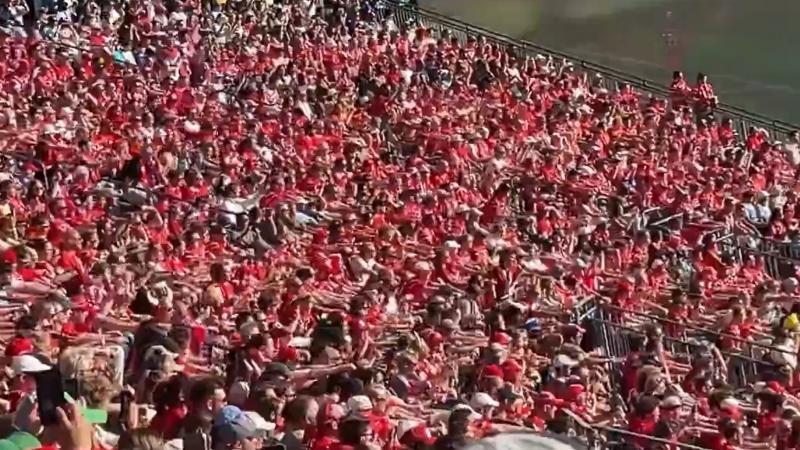 Coupe du monde : la nouvelle folie des tribunes, les rameurs norvégiens -  La Voix du Nord
